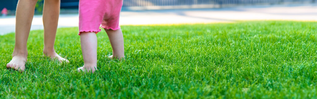 Residential Lawn Turf in San Diego