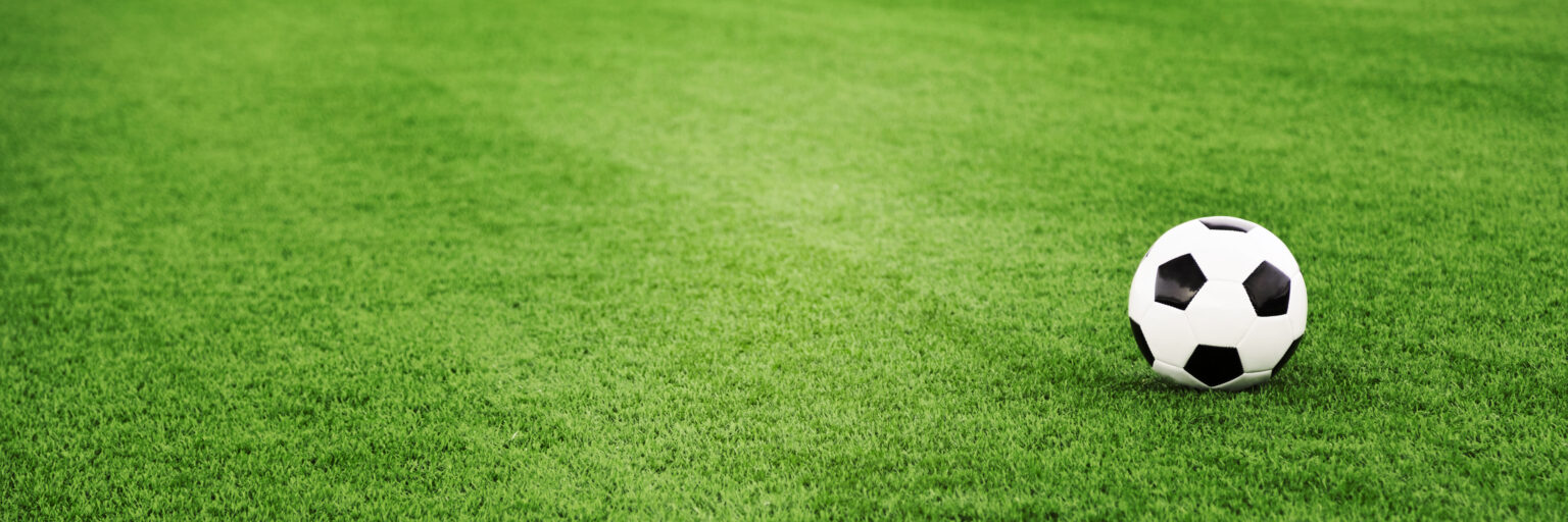 TurfStellar artificial grass install