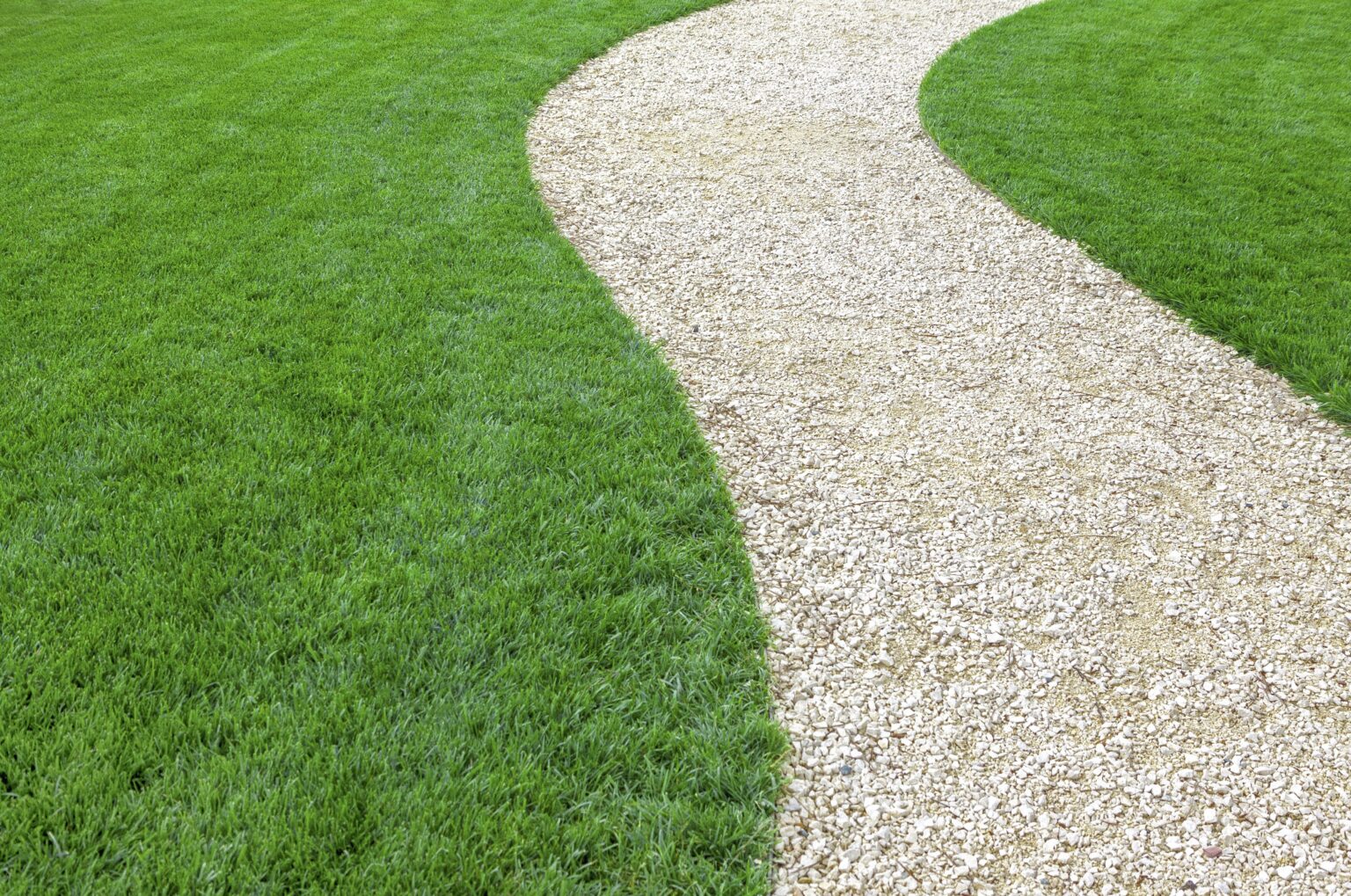 Artificial grass backyard in San Diego