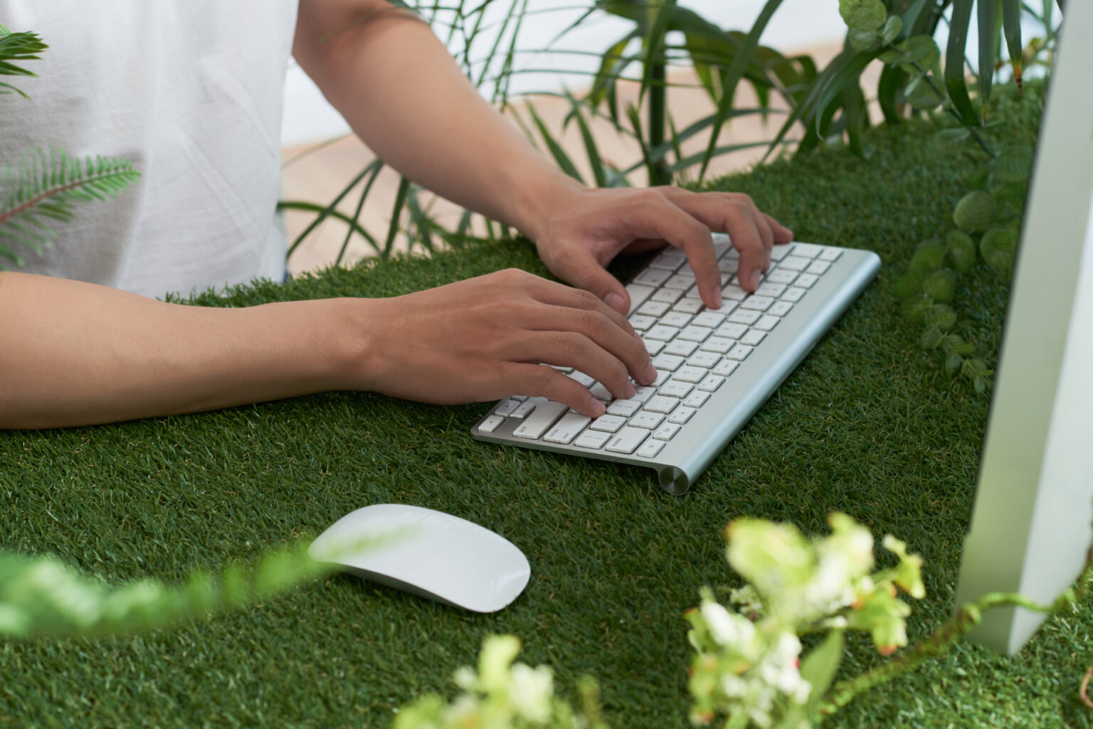 Pet Turf and Dog Runs in San Diego