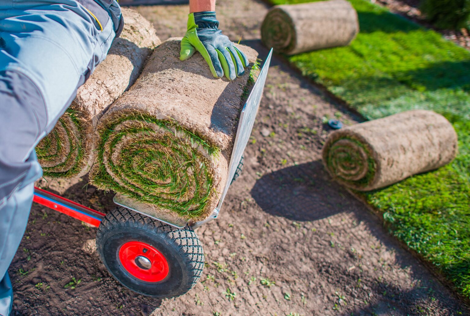 Sports and Bocce Turf in San Diego