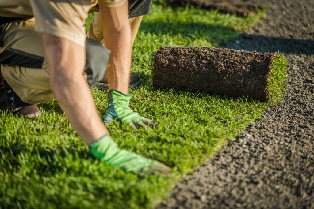 Artificial grass installation project in San Diego