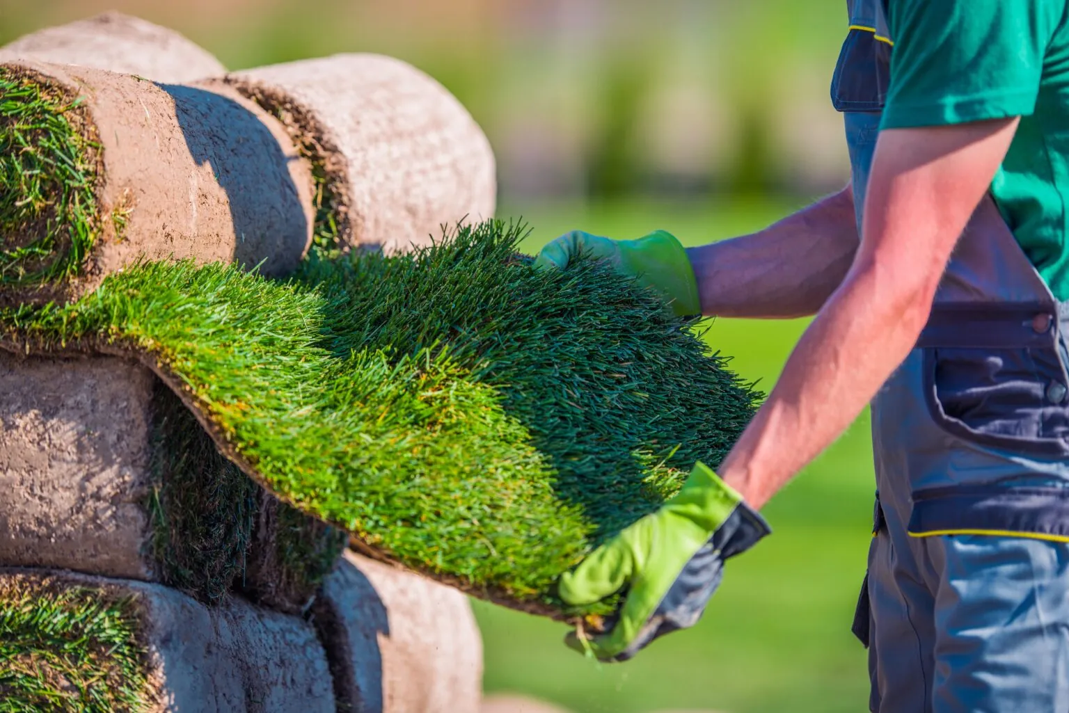 San Diego&rsquo;s Artificial Grass Specialists