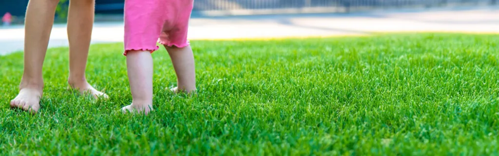 Residential Lawn Turf in San Diego