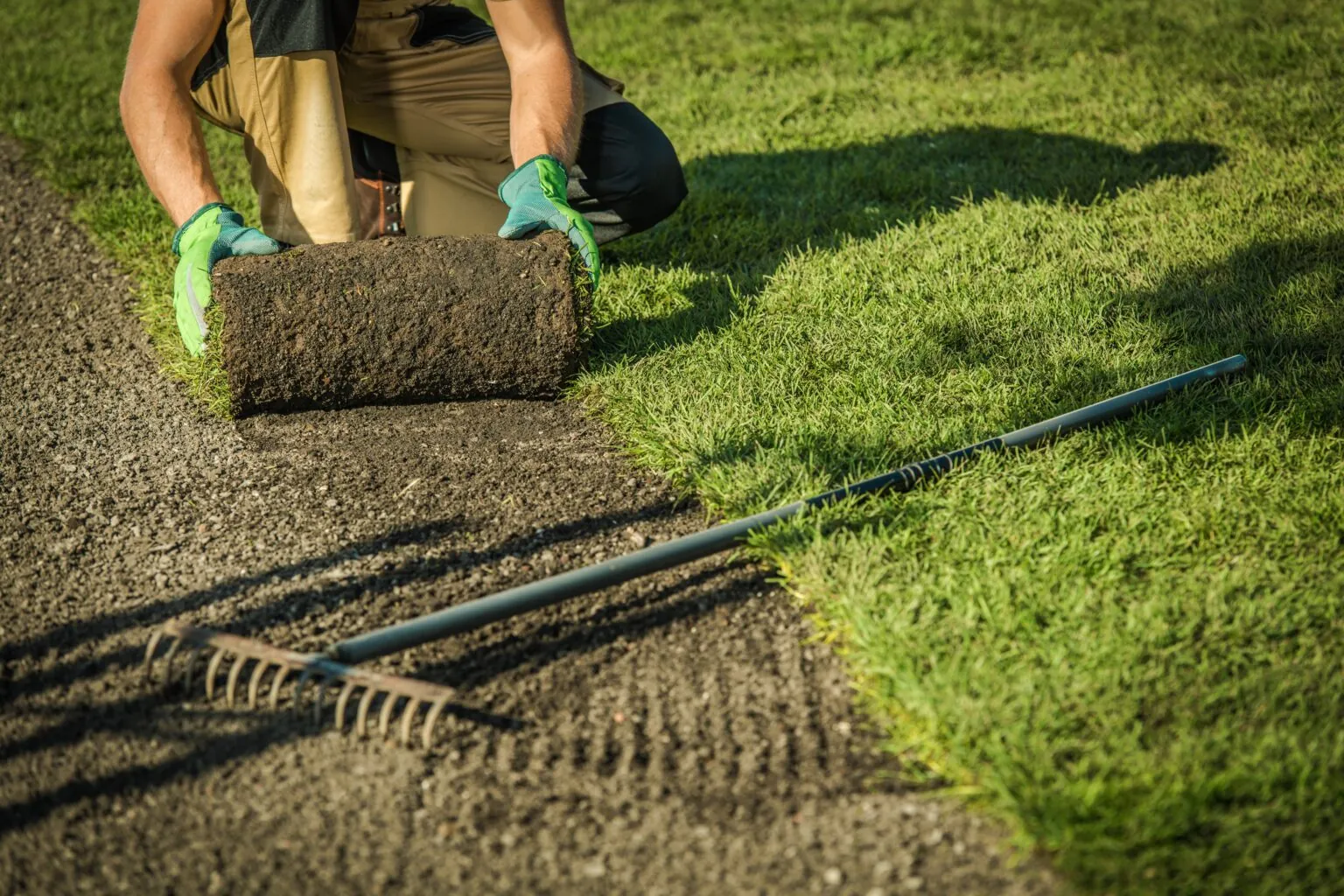 Artificial grass project San Diego